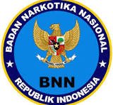 BNN LIDO